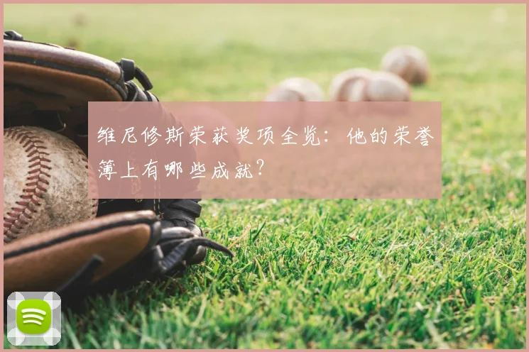 维尼修斯荣获奖项全览:他的荣誉簿上有哪些成就?