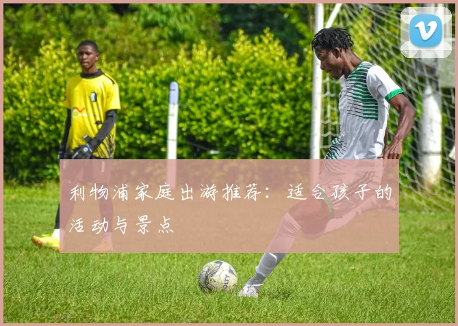 利物浦家庭出游推荐：适合孩子的活动与景点