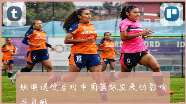 姚明退役后对中国篮球发展的影响与贡献