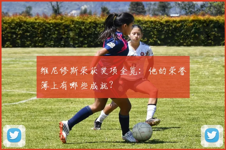 维尼修斯荣获奖项全览：他的荣誉簿上有哪些成就？